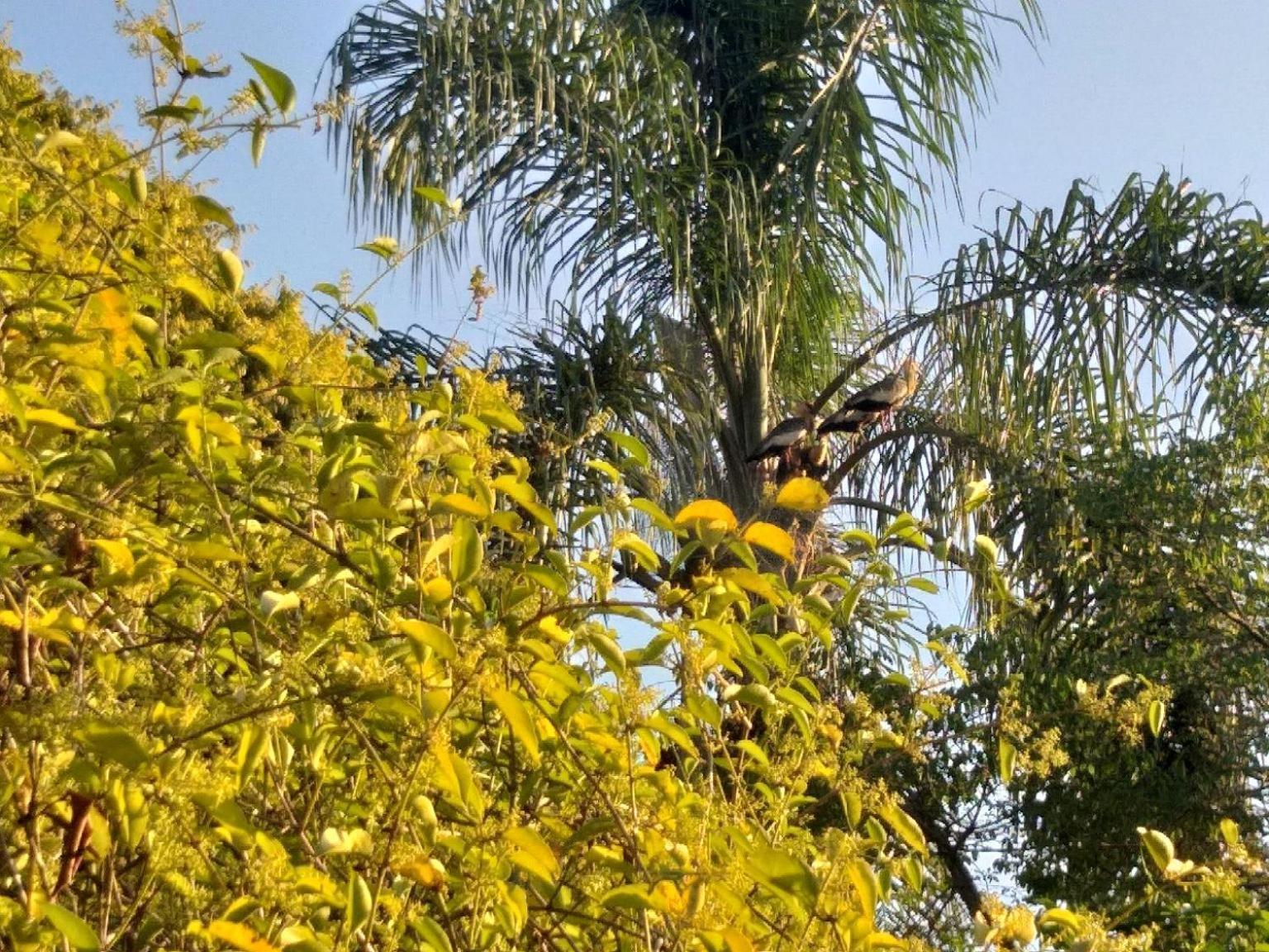 Pousada Do Sossego Conceição da Ibitipoca 客房 照片